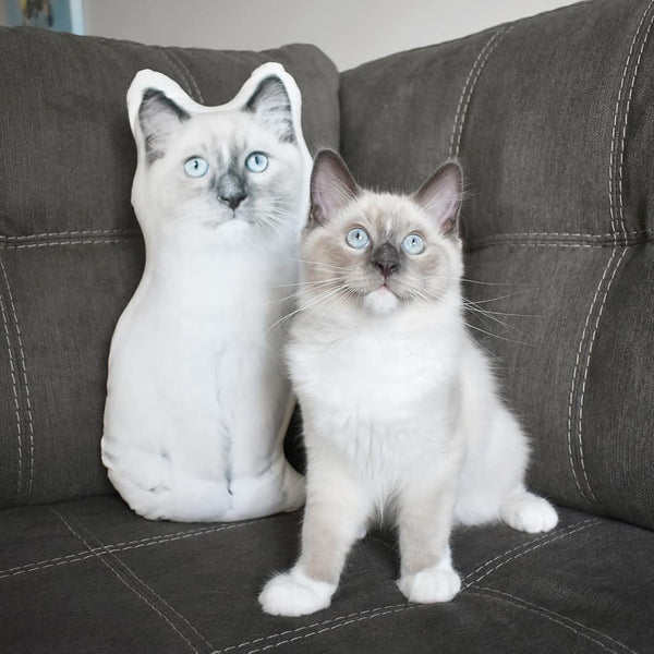 Pet Shaped Pillows